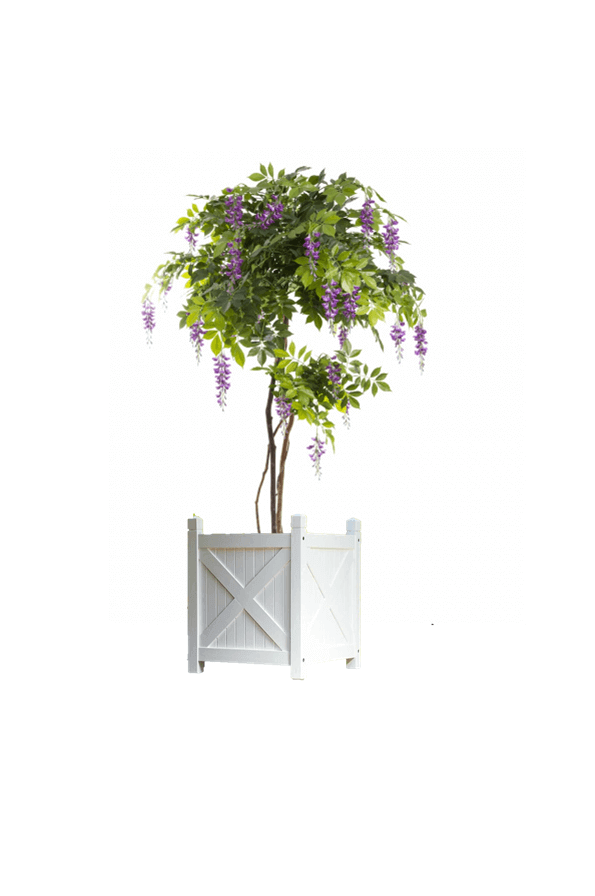 Synthetic Wisteria Tree in White Planter Box – 190cmH