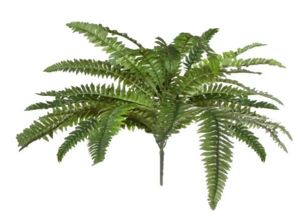 Synthetic Ferns – Assorted Styles – 30-50cm