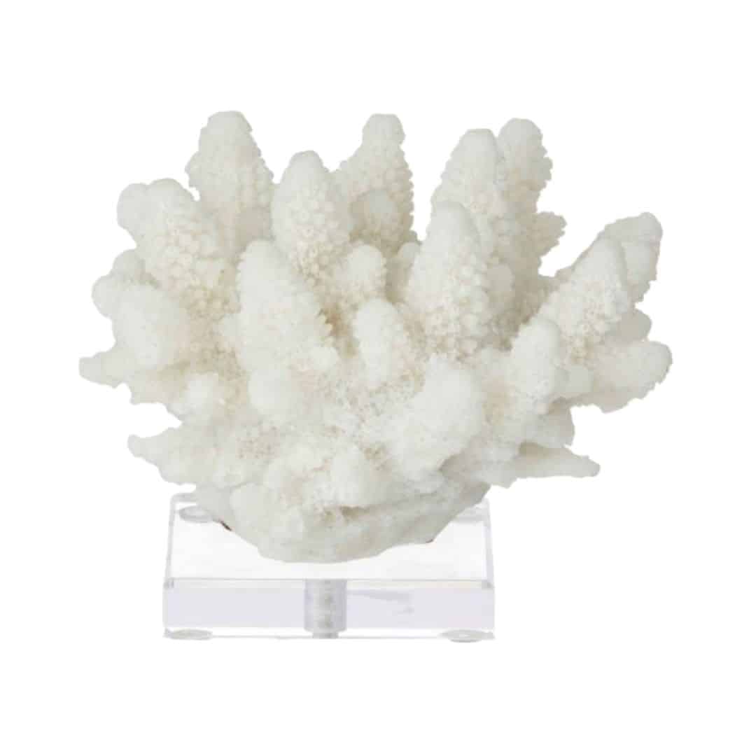 Coral on Acrylic Stand – White – 15cmW x 15cmH