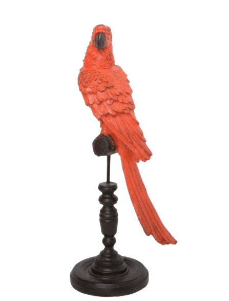 Parrot Statuette – Assorted Colours – 43cmH