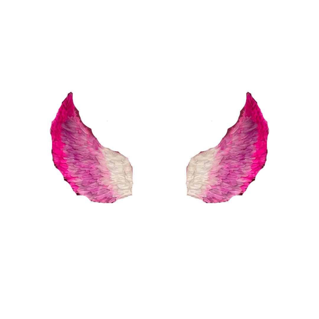 Pink Ombre Feather Wings (Pair) 180 cm