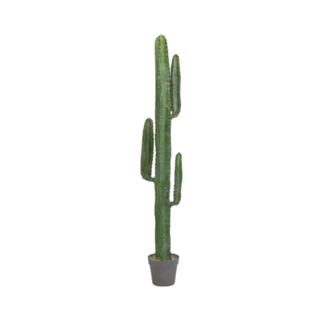 Synthetic Cactus – 156cmH