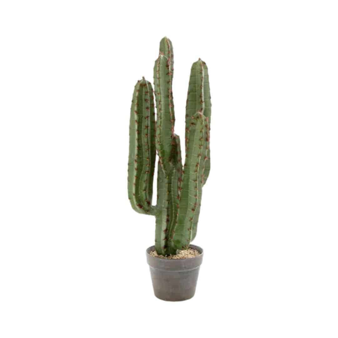 Synthetic Cactus – 82cmH