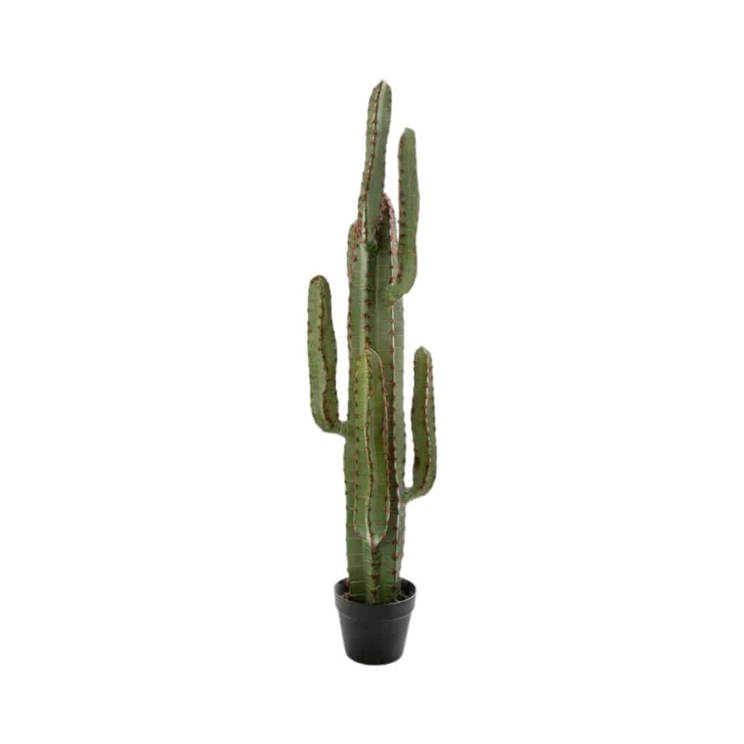 Synthetic Cactus – 115cmH